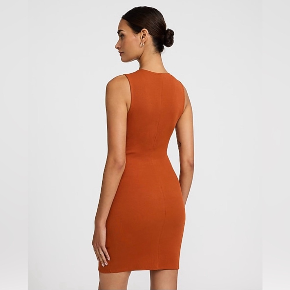 Express Sleeveless Button-Down Dress in Rust - Picture 2 of 7